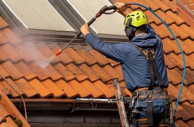 Démoussage et hydrofuge de toiture au Tâtre